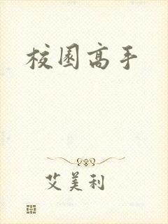 校园高手封面