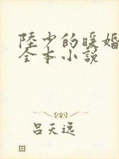 陆少的暖婚新妻全本小说