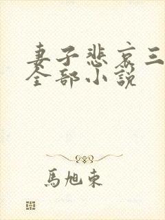 妻子悲哀三部曲全部小说