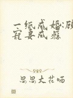 一纸成婚:顾少宠妻成瘾