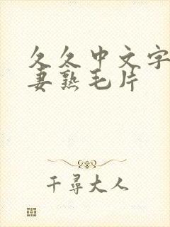 久久中文字幕人妻熟毛片