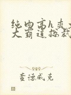 纯肉高h爽文粗大霸道总裁