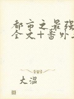 都市之最强狂兵全文+番外无删减