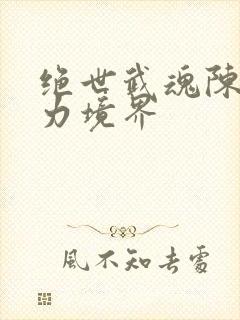绝世武魂陈枫实力境界