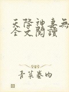 天降神妻无删减全文阅读封面