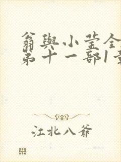 翁与小莹全目录第十一部1章封面