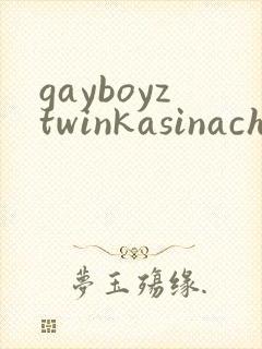 gayboyztwinkasinachinese