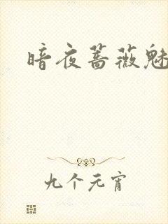 暗夜蔷薇魅