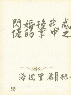闪婚后我成了大佬的掌中之物32
