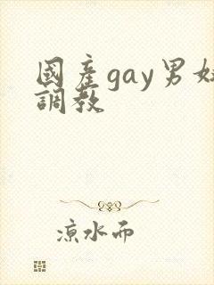 国产gay男奴调教