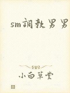 sm调教男男文