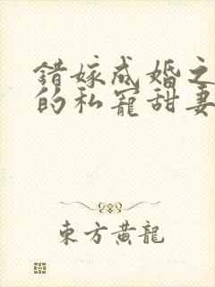 错嫁成婚之总裁的私宠甜妻