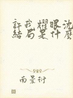 许我耀眼沈皓明结局是什么封面