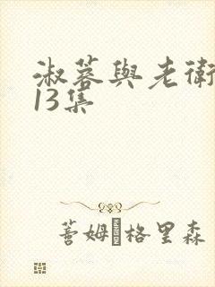 淑蓉与老卫1—13集