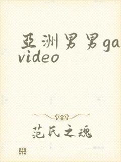 亚洲男男gayvideo