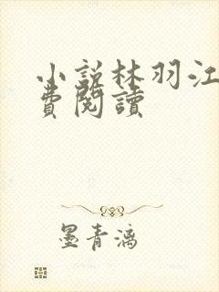 小说林羽江颜免费阅读