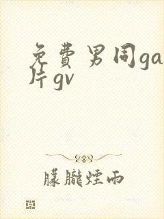 免费男同gay片gv