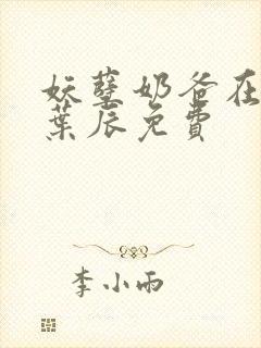 妖孽奶爸在都市叶辰免费