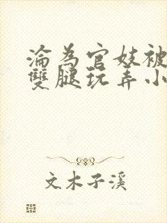 沦为官妓被扒开双腿玩弄小说