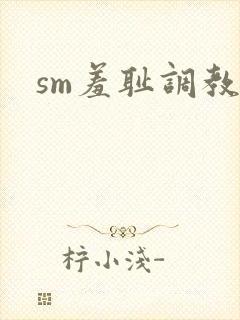 sm羞耻调教文