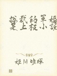总裁的军婚老婆是上校小说