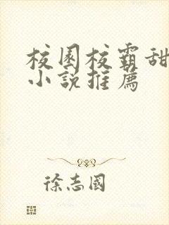 校园校霸甜宠文小说推荐