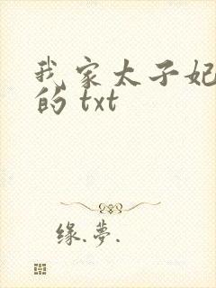 我家太子妃超凶的 txt