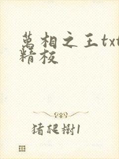 万相之王txt精校