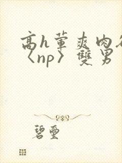 高h荤爽肉欲文〈np〉双男