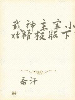 武神主宰小说txt精校版下载