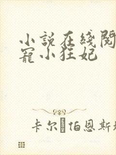 小说在线阅读绝宠小狂妃封面