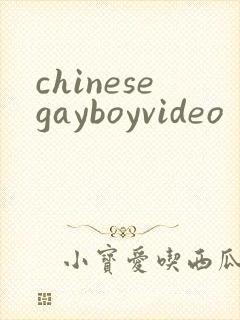 chinesegayboyvideo