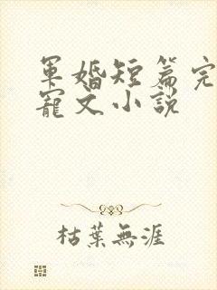 军婚短篇完结甜宠文小说