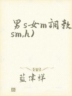 男s女m调教(sm,h)