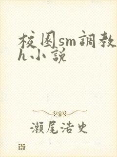 校园sm调教高h小说