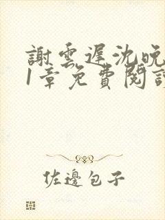 谢云迟沈晚梨21章免费阅读最新章节更