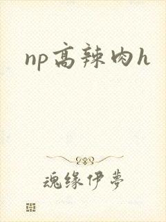 np高辣肉h