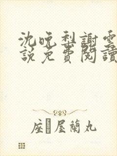 沈晚梨谢云迟小说免费阅读封面