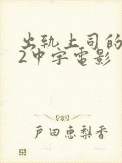 出轨上司的人妻2中字电影封面