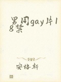 男同gay片18禁