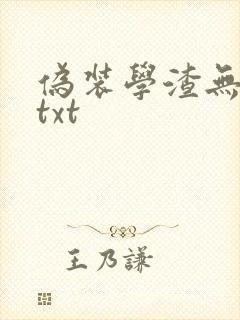 伪装学渣无删减txt封面