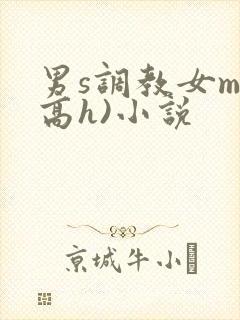 男s调教女m(高h)小说