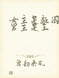 女主是敌国将军男主是王