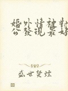 婚外情被对方老公发现最好的解决办法封面