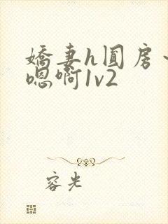 娇妻h圆房~h嗯啊1v2