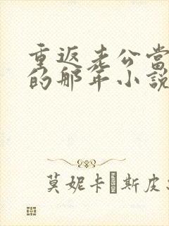 重返老公当校草的那年小说