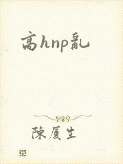 高hnp乱封面