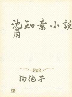 沈知意小说女主角
