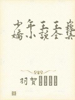 少年王王巍李娇娇小说全集免费下载