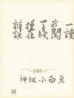 谁摸了我一下小说在线阅读